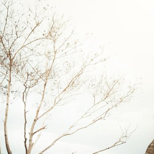 Photo #4714989