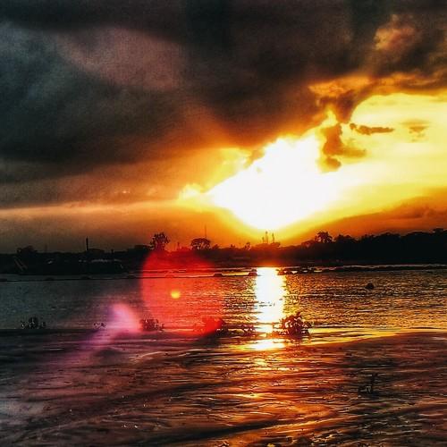 Photo #4715107