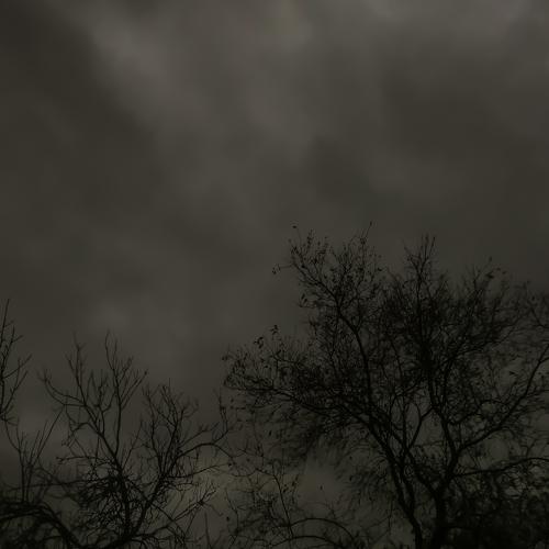 Photo #4715467