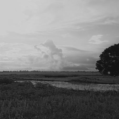 Photo #4715475