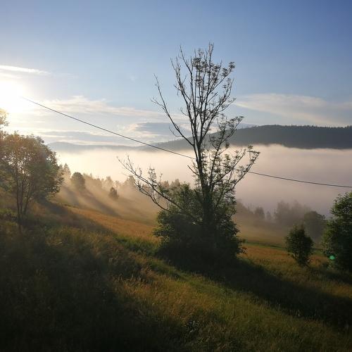 Photo #4715505