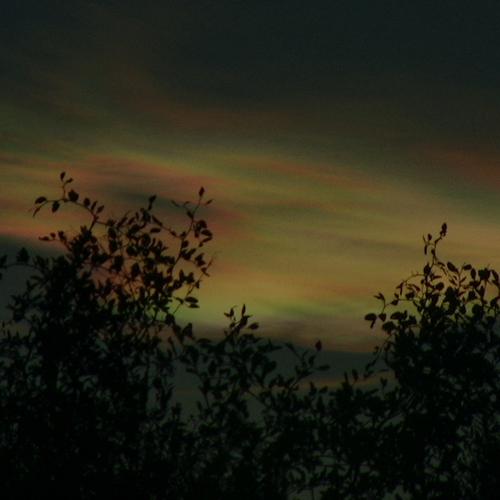 Photo #4715531