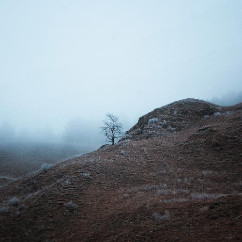 Photo #4715571