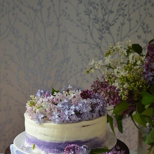Photo #4715606