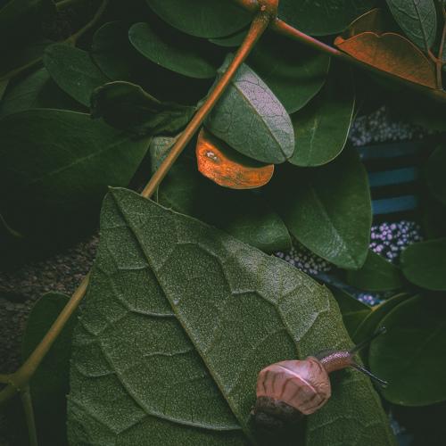 Photo #4716337