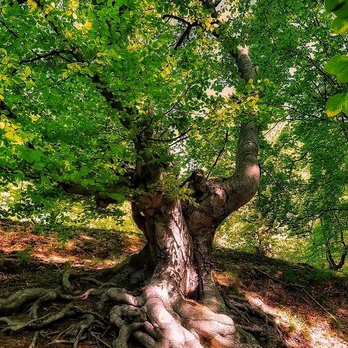 Photo #4716354