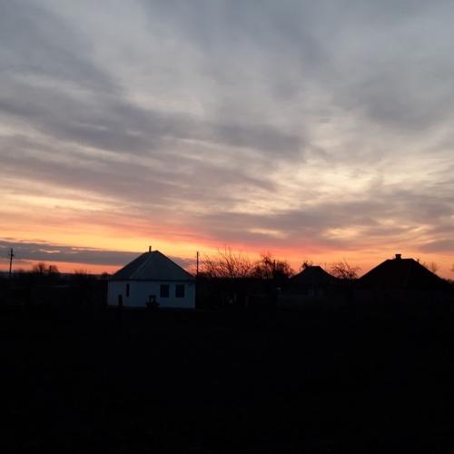 Photo #4716378