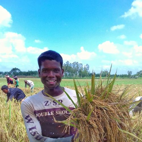 Gold yields gold smiles