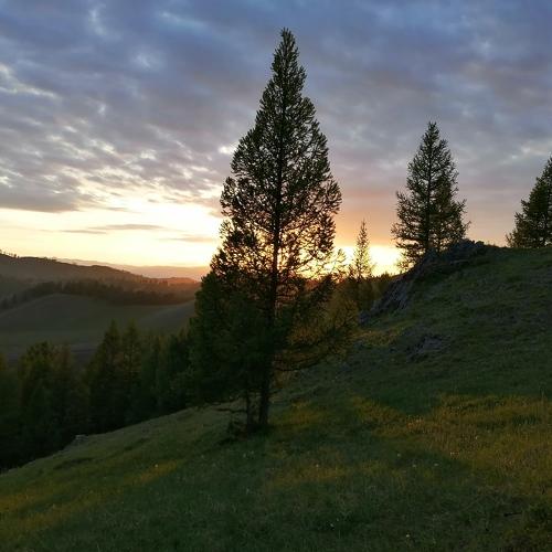 Природа Алтая прекрасна