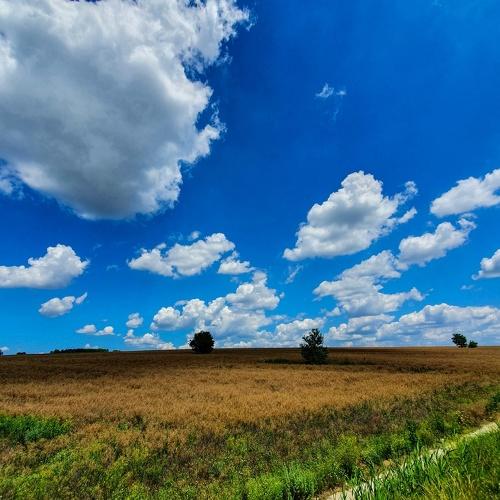 Photo #4717330