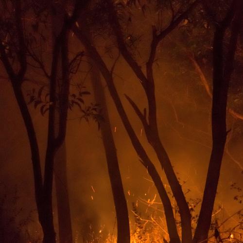 Firescape