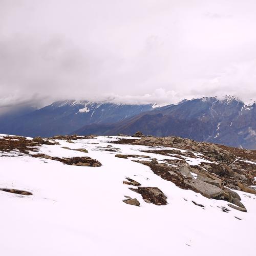 Photo #4717435