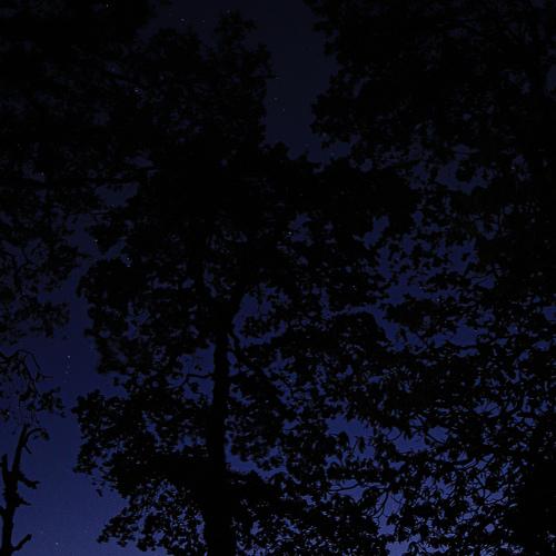 Photo #4717445