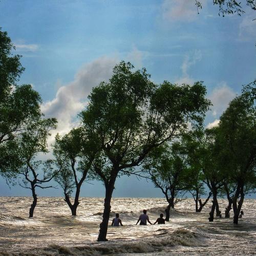 Photo #4717505