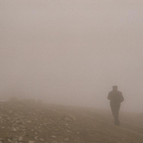 Photo #4717868