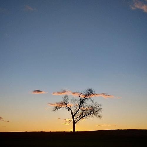 Photo #4717910