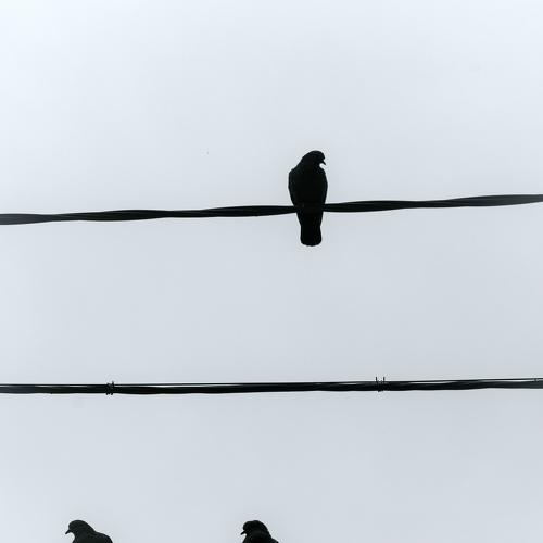 Photo #4718176