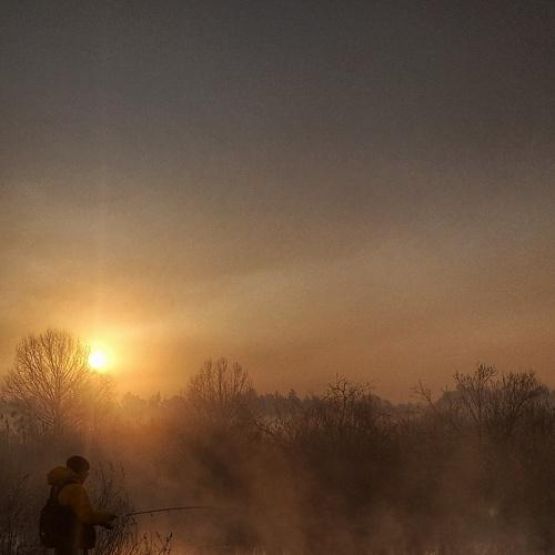 Photo #4718263
