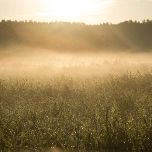Photo #4718273
