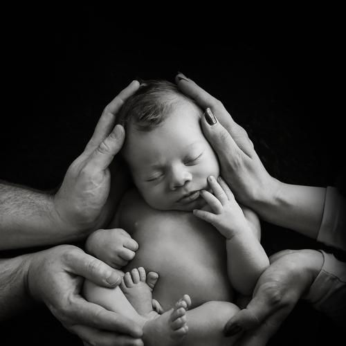 Photo #4718845