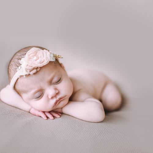 Photo #4718857