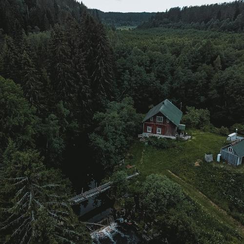 Photo #4718940