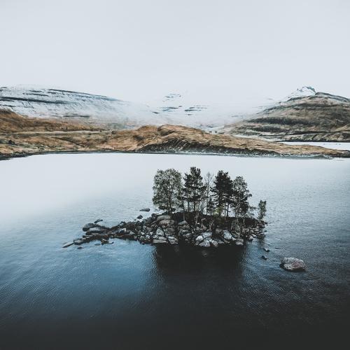 Photo #4718948