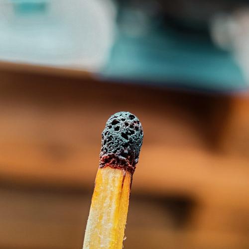 Photo #4719519