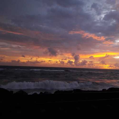 Photo #4719696