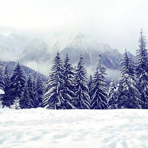 Photo #4720747