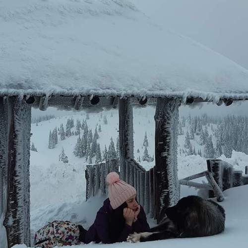 Photo #4720757