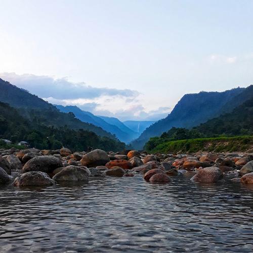 Photo #4721137