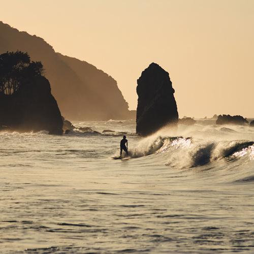Photo #4721483