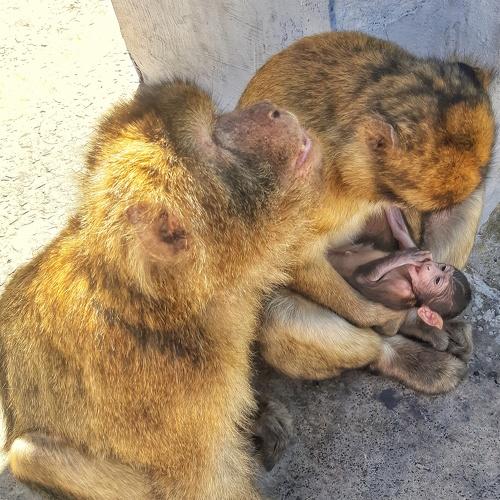 Photo #4721556