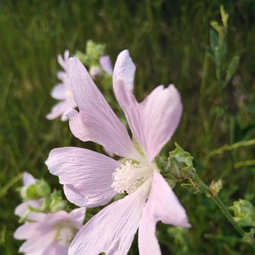 Photo #4721876