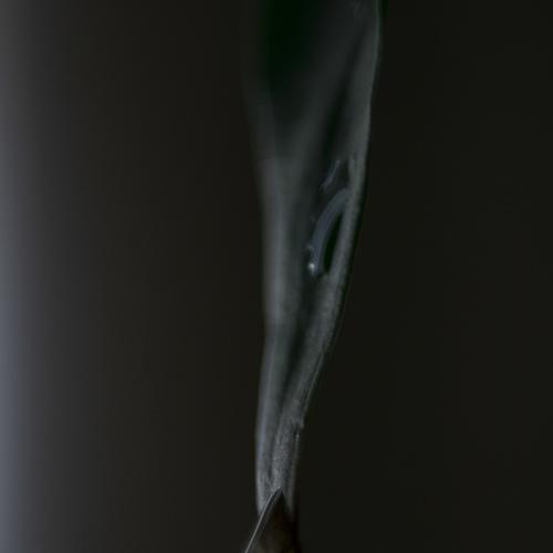 Photo #4722091