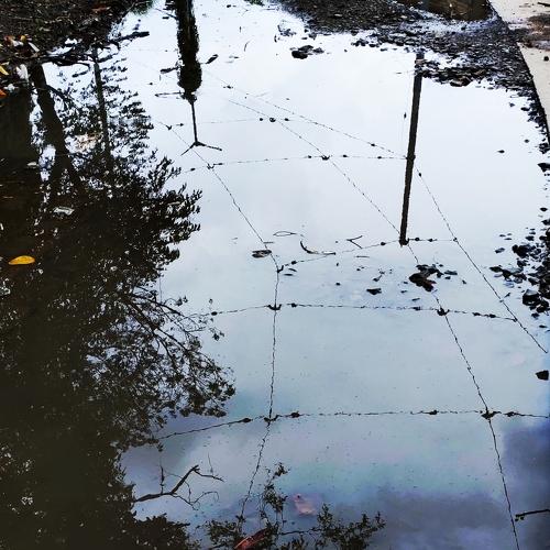 Photo #4722158