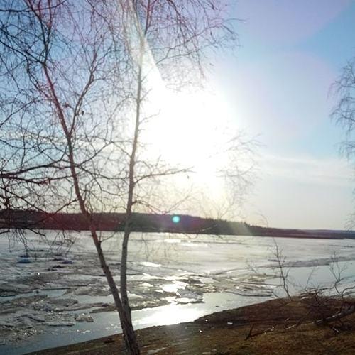 Photo #4722303
