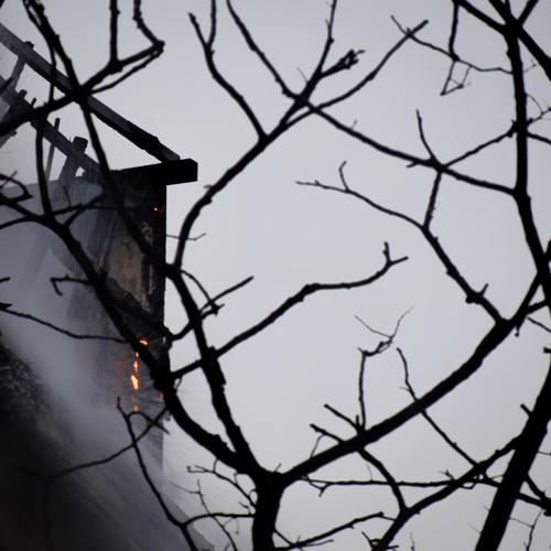 Photo #4722310