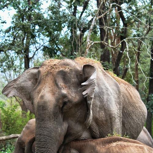 Photo #4722461