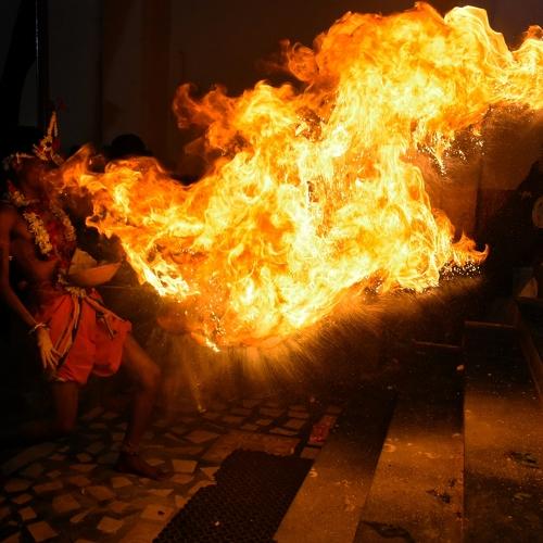 Photo #4722490
