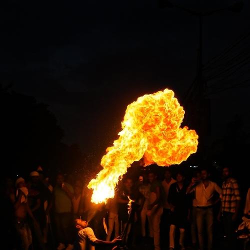 Photo #4722492