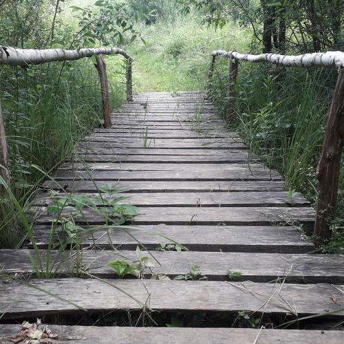 Photo #4722802