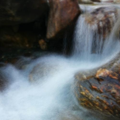 Photo #4722840