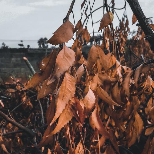 Photo #4722996