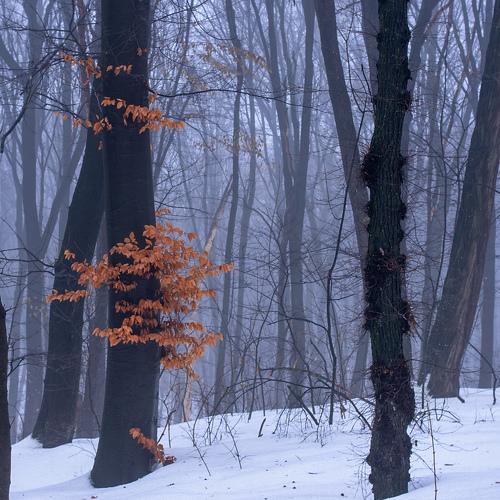 Photo #4723084