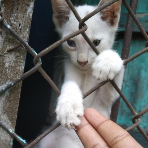 Photo #4723142