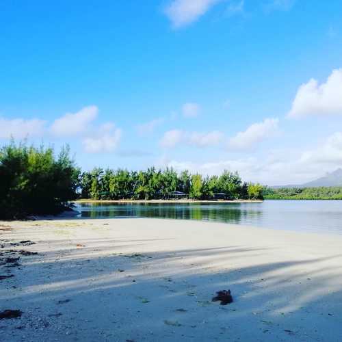 Photo #4723169