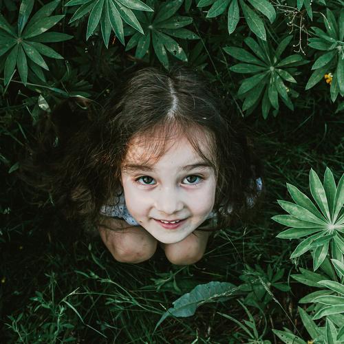 Photo #4723328