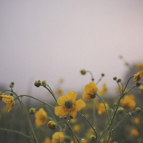 Photo #4723542